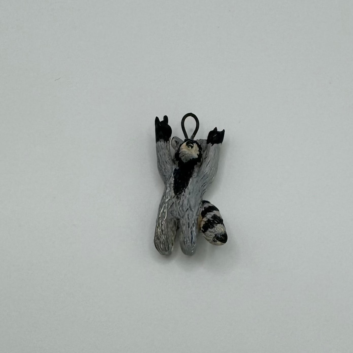 Rocking Raccoon Charm