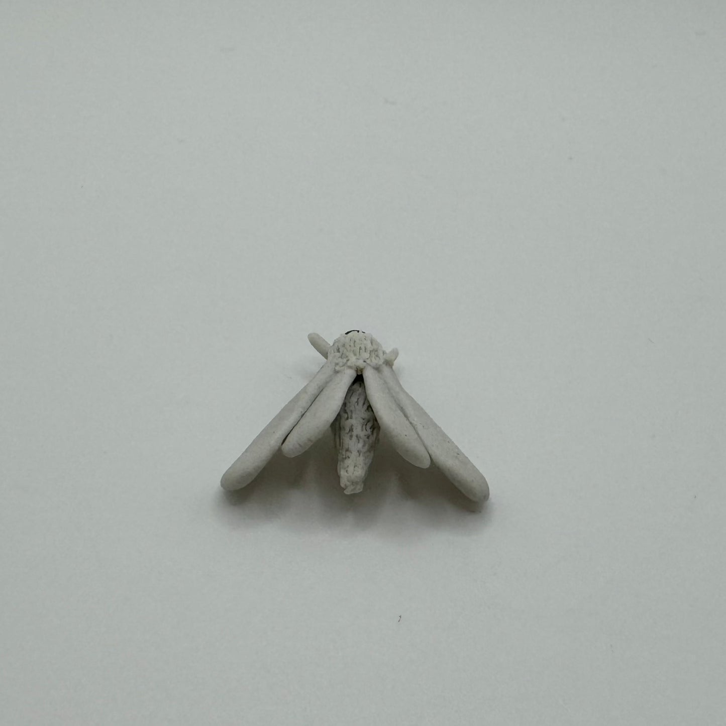 Porcelain Moth Charm